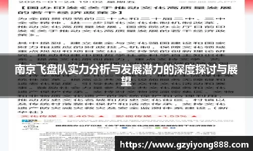 南京飞盘队实力分析与发展潜力的深度探讨与展望